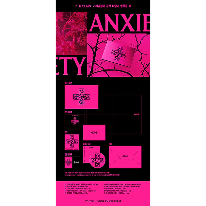 7TH YEAR: A Moment of Stillness in the Thorns (ANXIETY Version CD) - Image 2