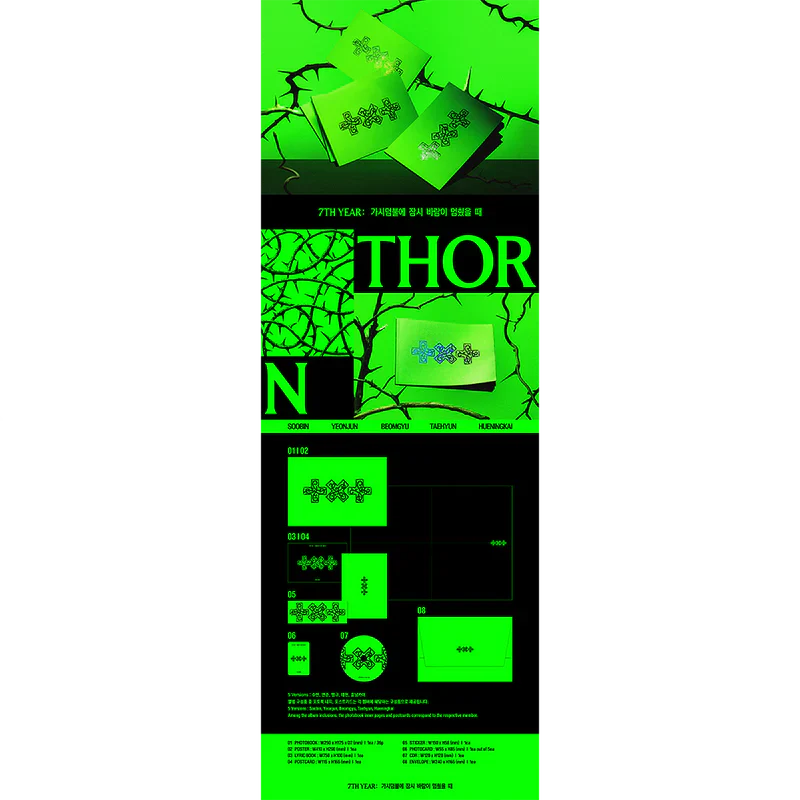 7TH YEAR: A Moment of Stillness in the Thorns (THORN Version CD) - Image 2