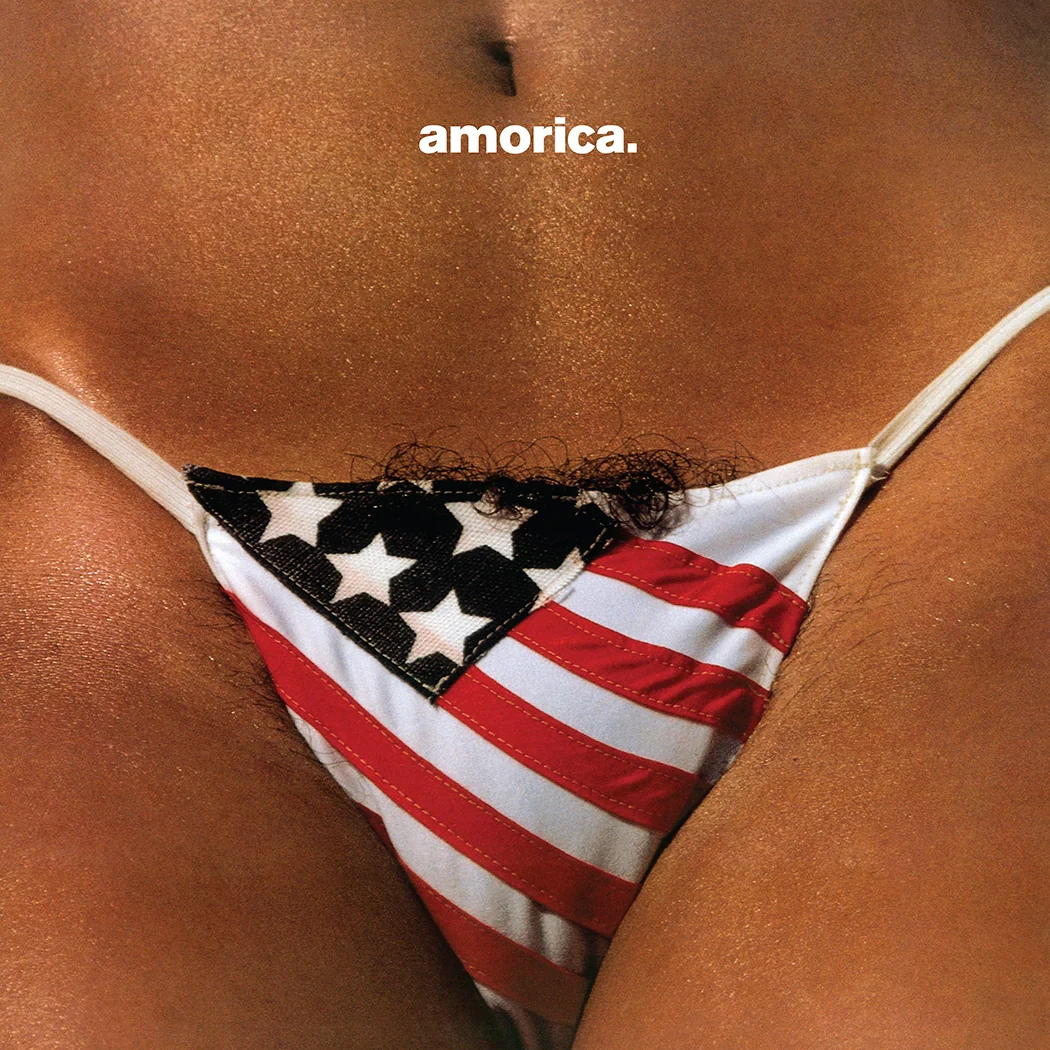 Amorica (Limited Edition 2LP) - Image 2