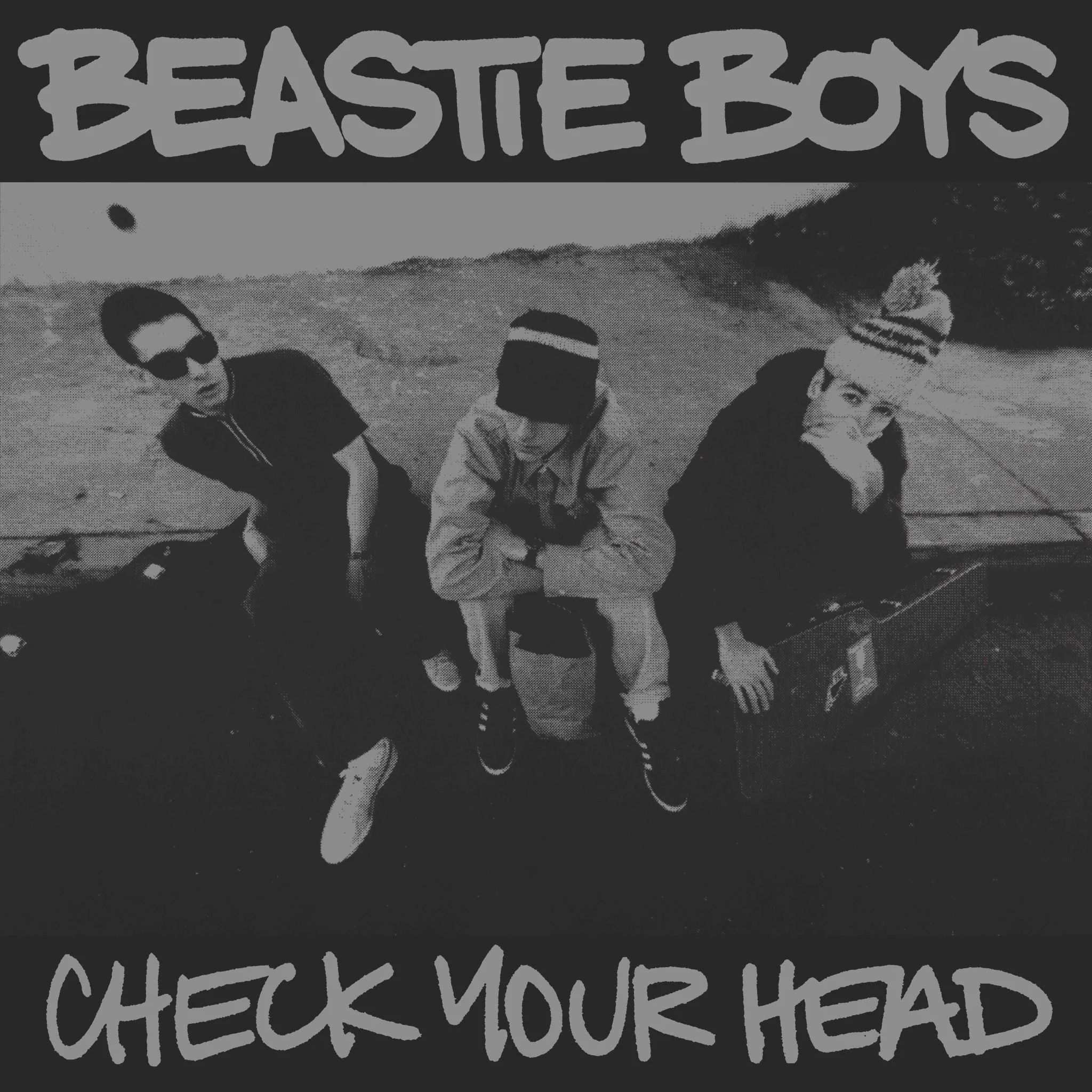 Check Your Head (4LP Boxset) - Image 2