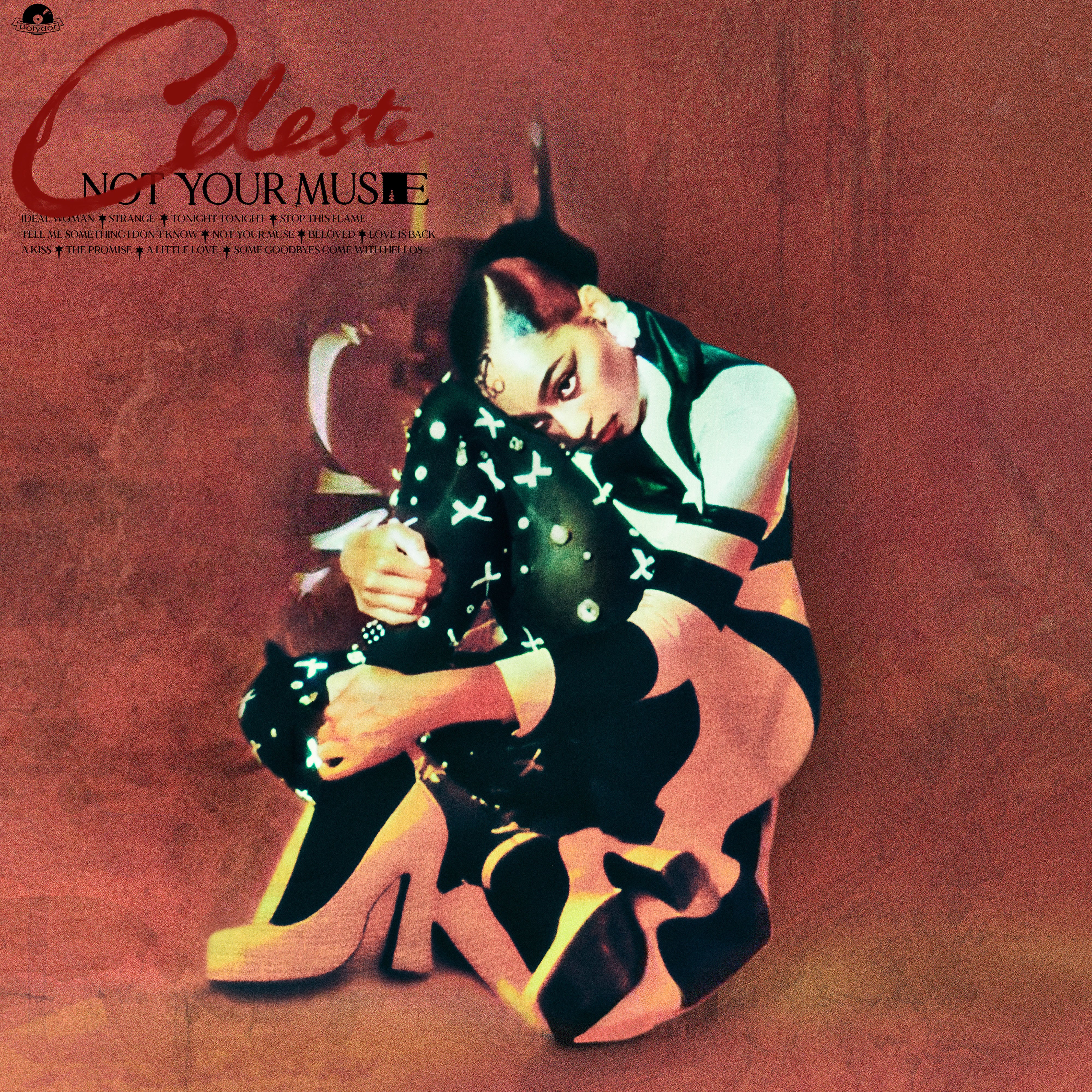 Not Your Muse (LP)