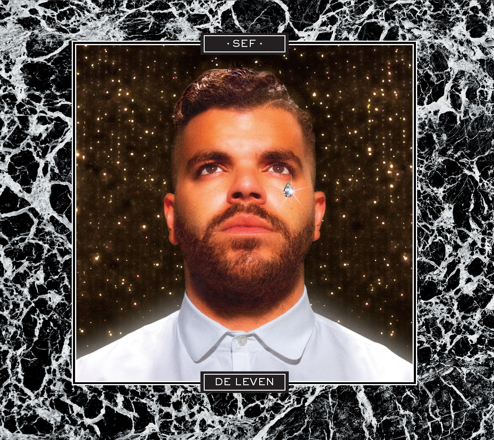 De Leven (LP) - Image 2