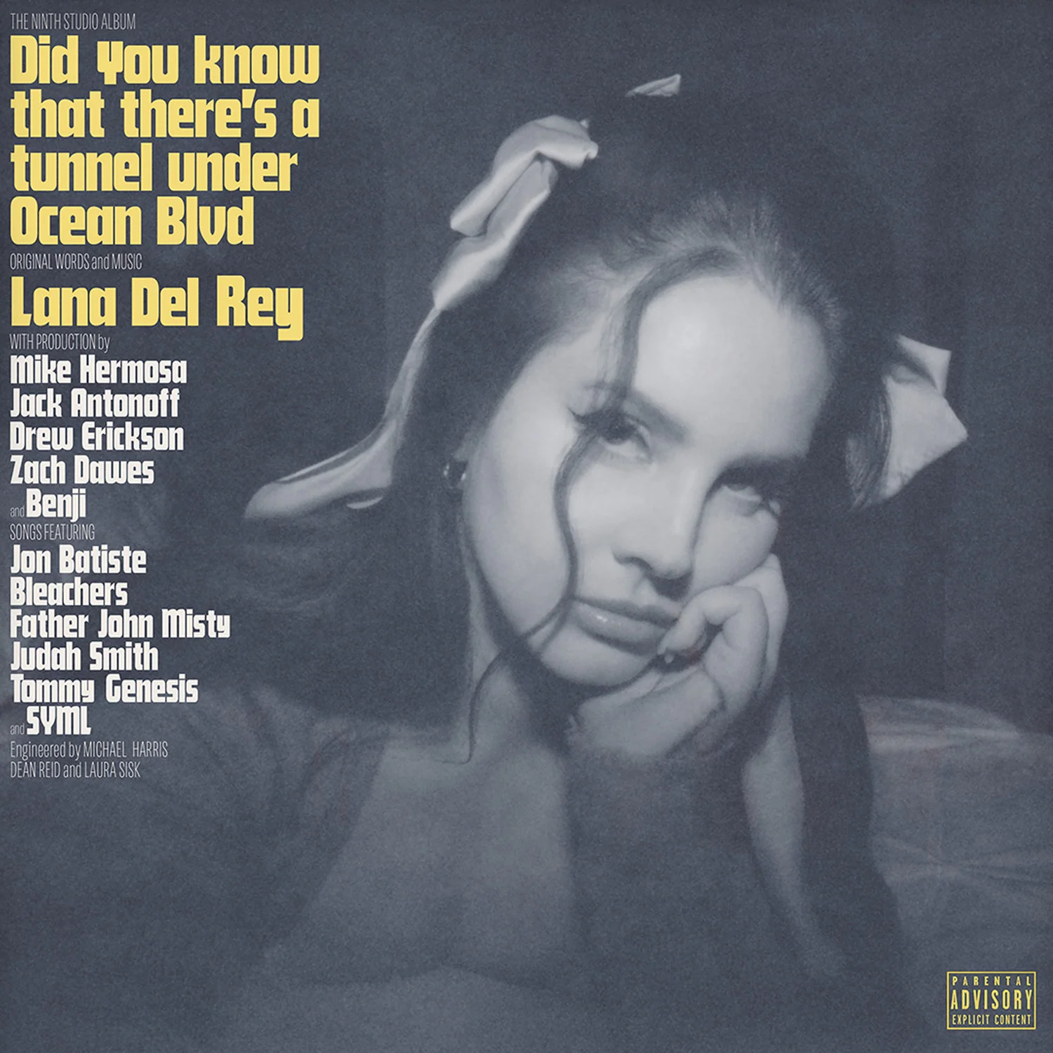 Did you know that there's a tunnel under Ocean Blvd (2LP) - Image 2