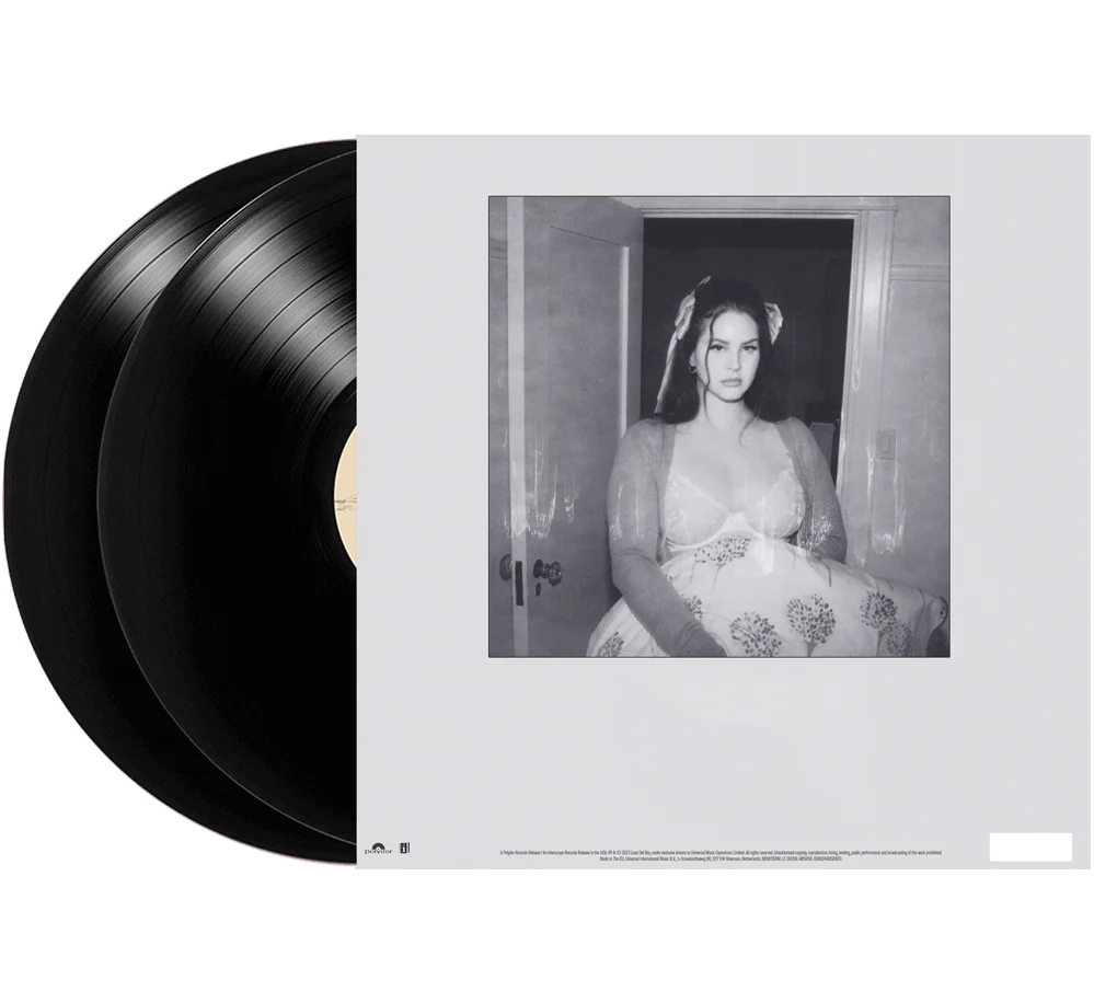 Did you know that there's a tunnel under Ocean Blvd (2LP) - Image 4