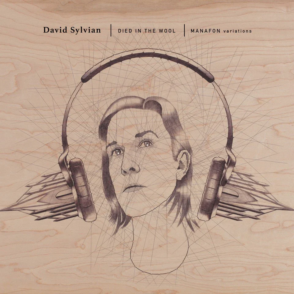 Died In The Wool - Manafon Variations (2LP) - Image 2