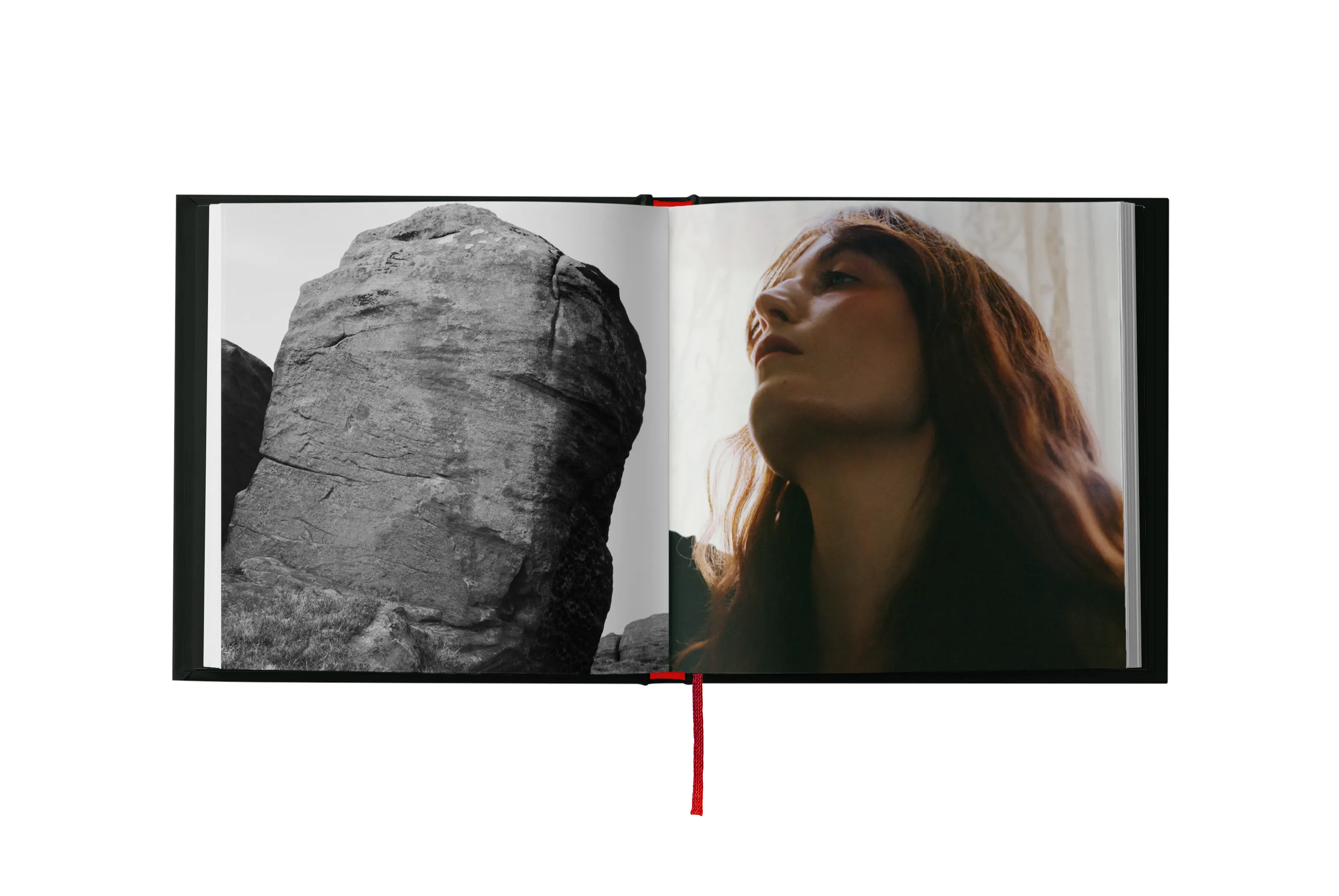 Everybody Scream CD: Chamber Edition - Image 3