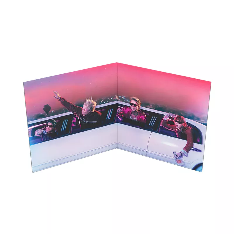 EVERYONE'S A STAR! Alt Cover Limo Vinyl - Image 3