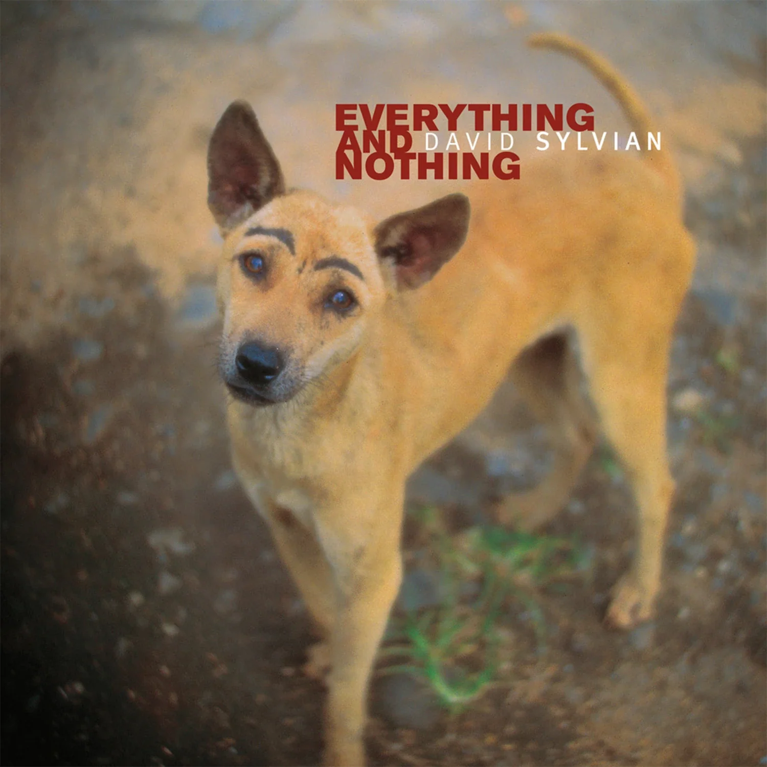 Everything & Nothing (3LP) - Image 3