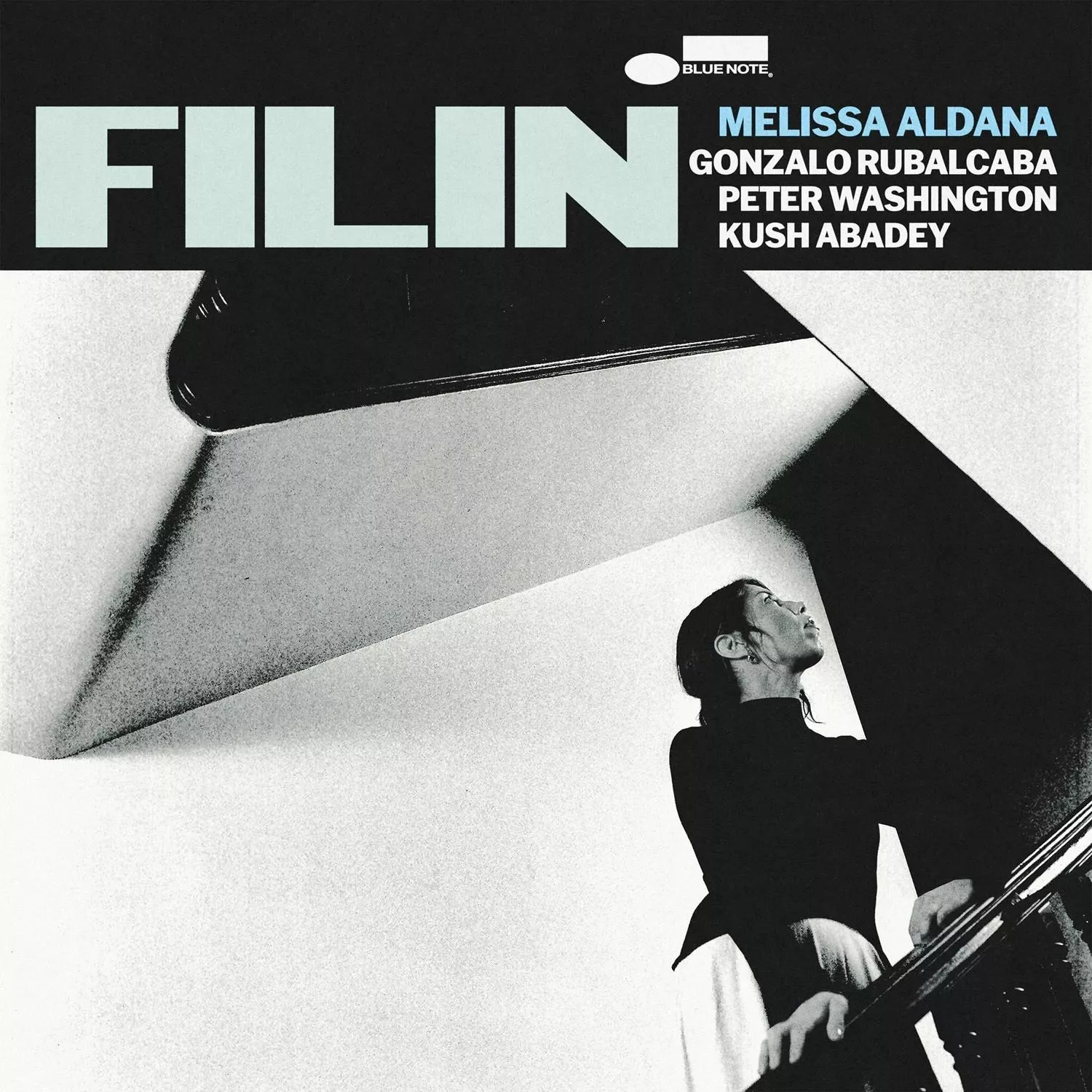Filin (LP)