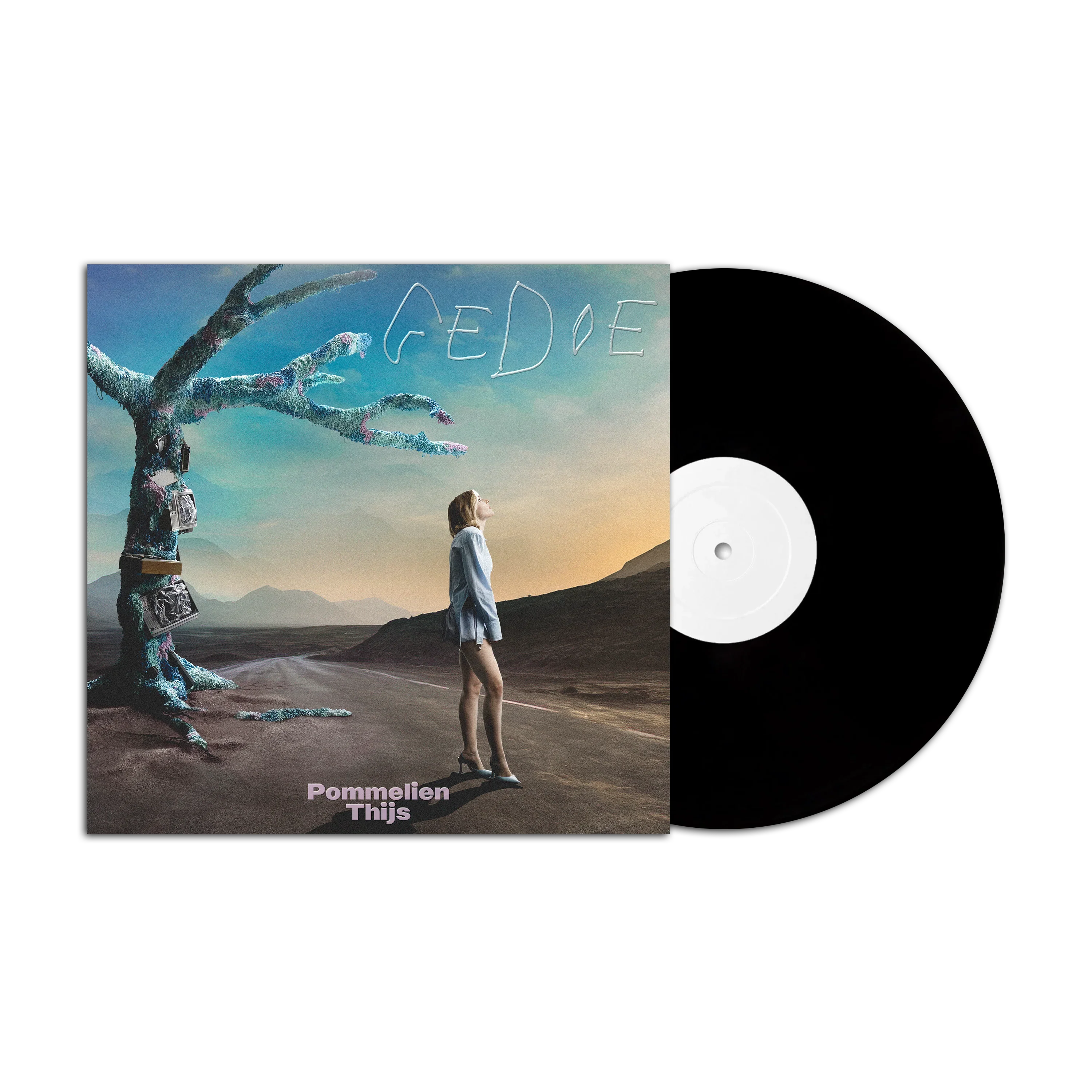 Gedoe (LP)