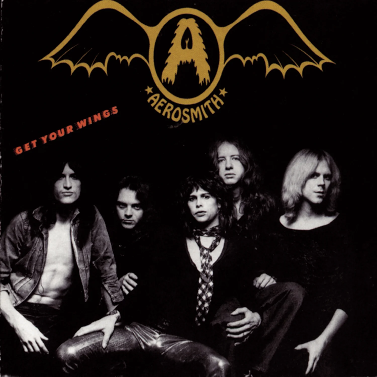 Get Your Wings (LP) - Image 2