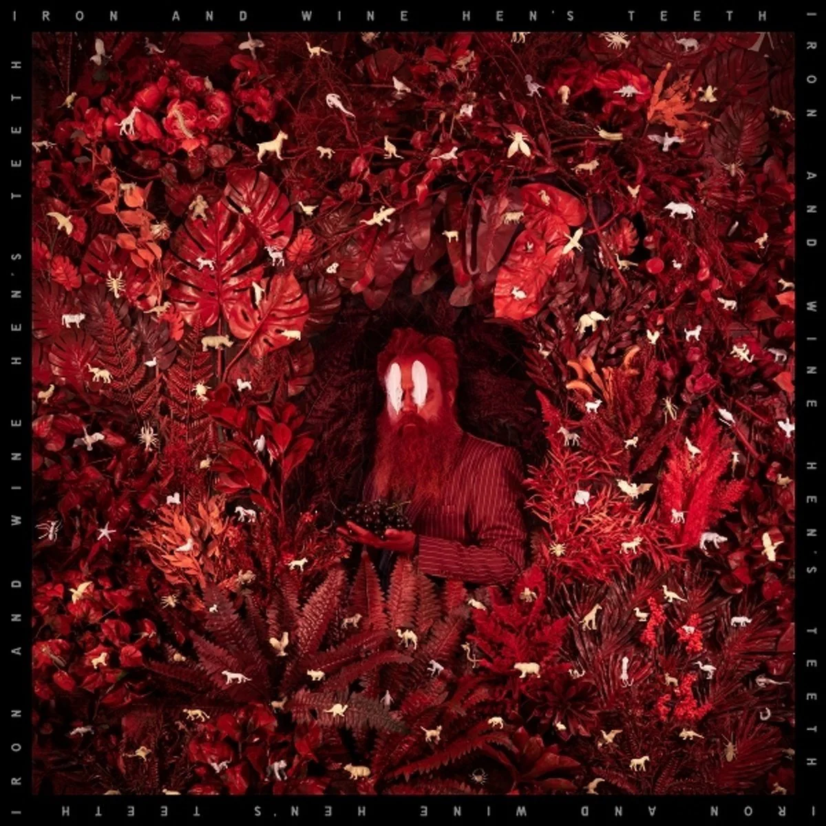 Hen's Teeth (CD)