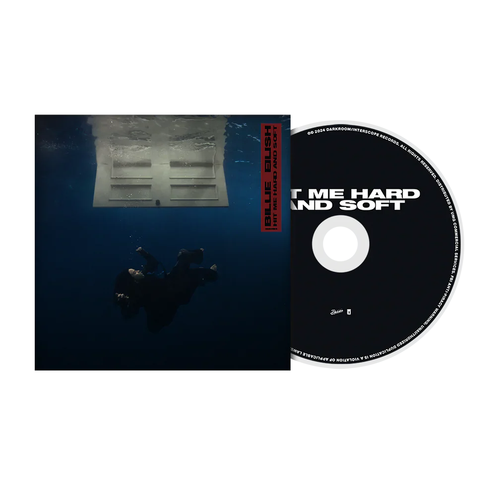 HIT ME HARD AND SOFT Standard CD