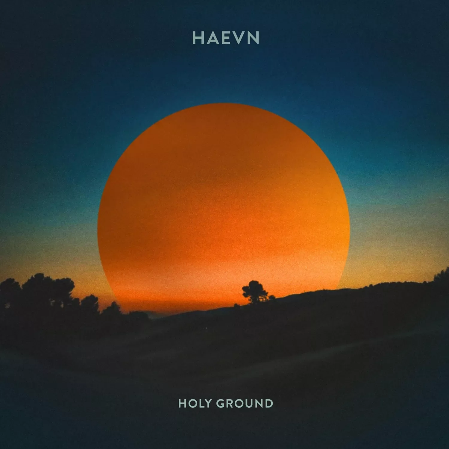 Holy Ground (12inch Single)
