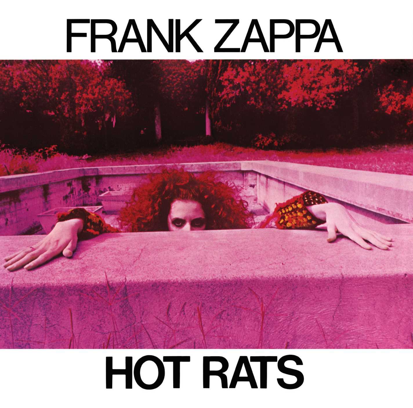 Hot Rats (LP) - Image 2