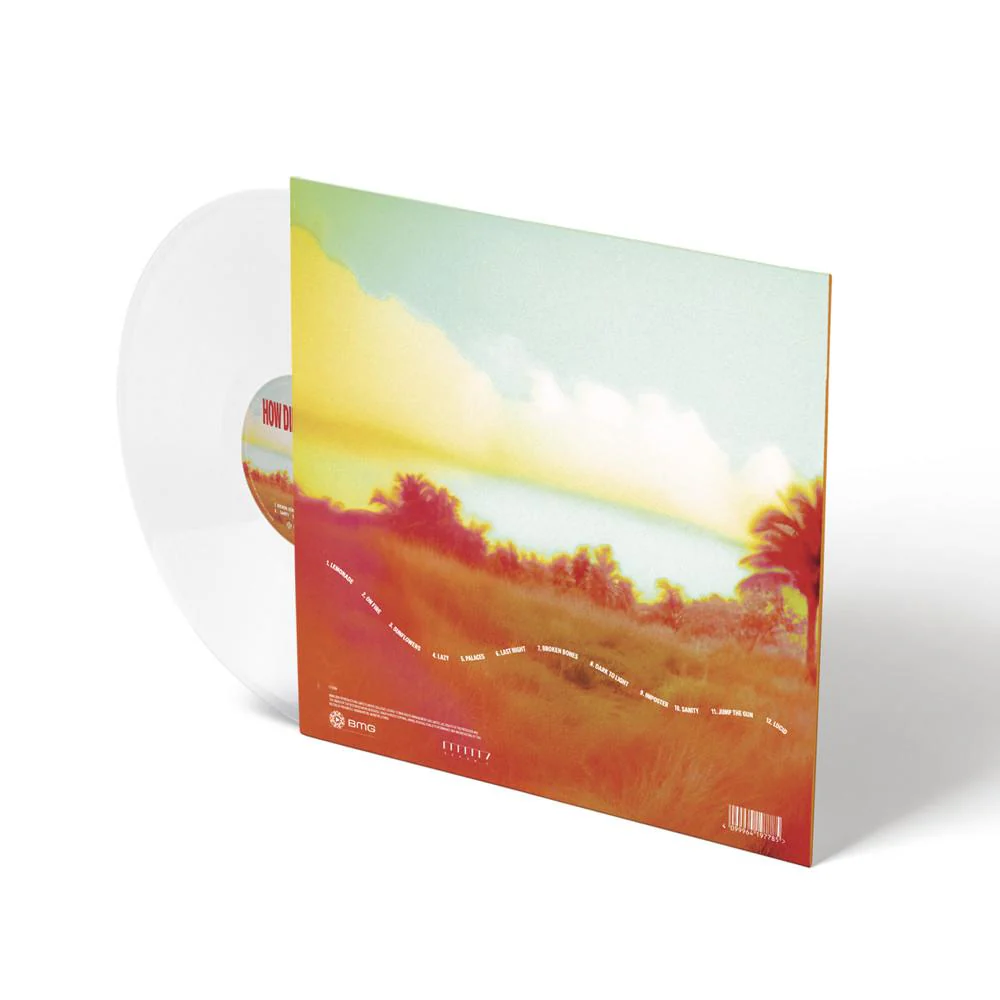 How Did I Get Here? Clear Vinyl - Image 2