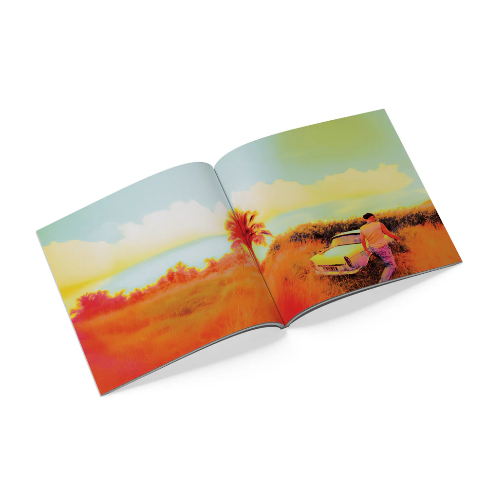How Did I Get Here? Deluxe CD - Image 3