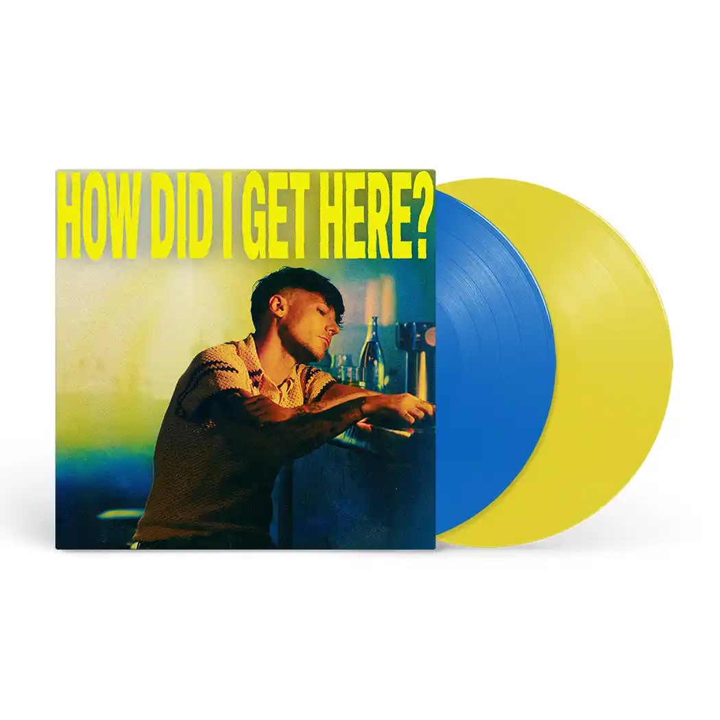 How Did I Get Here? Deluxe Double Vinyl
