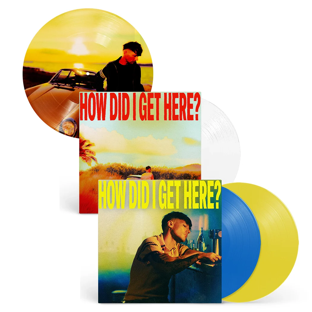 How Did I get Here? (Vinyl Bundle)