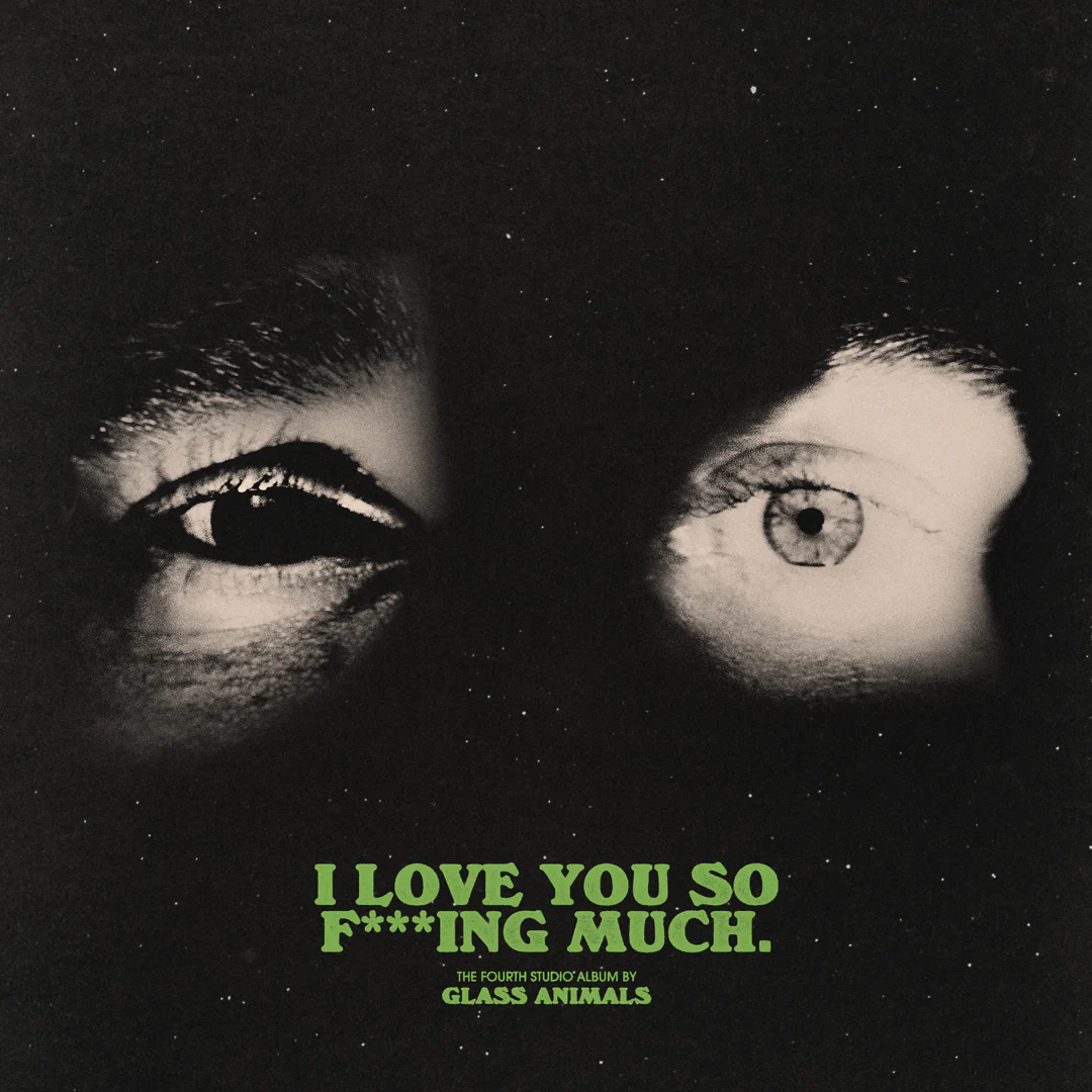 I Love You So F***ing Much Black Vinyl - Image 3