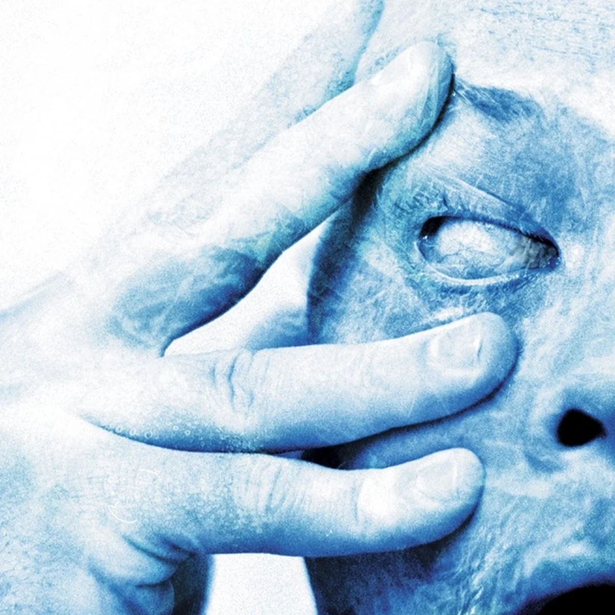 In Absentia (CD) - Image 2