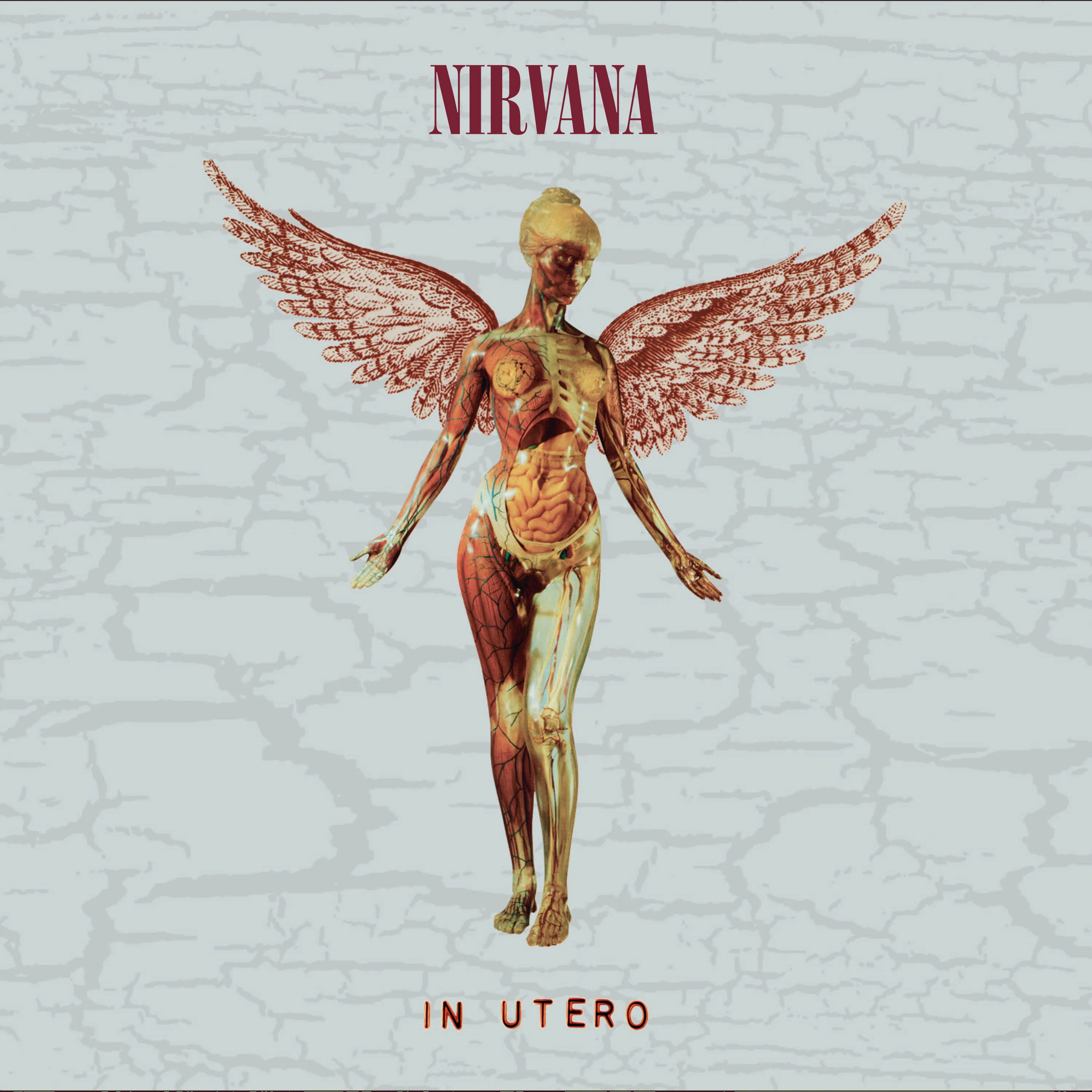 In Utero (30th Anniversary Deluxe 2CD) - Image 3