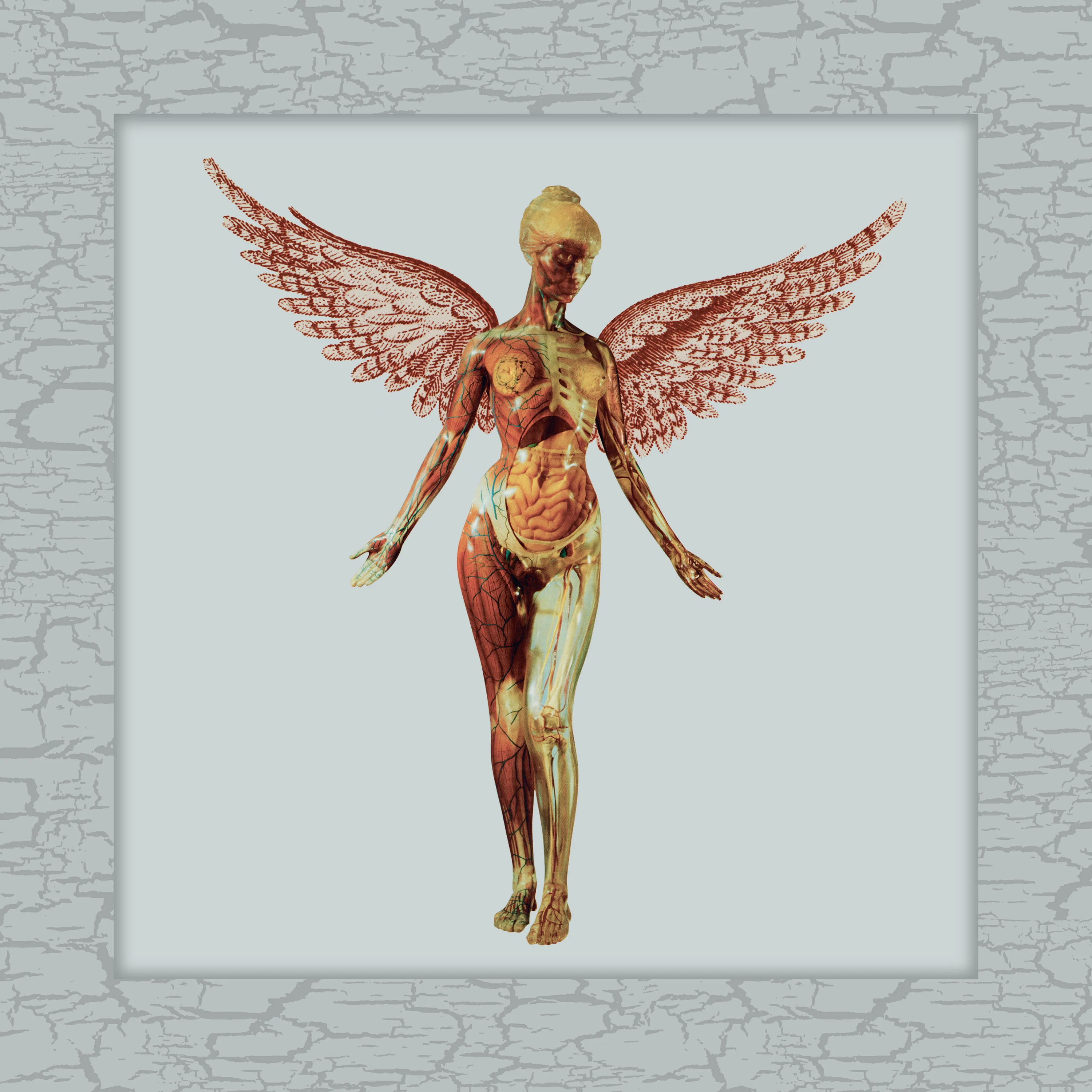 In Utero (30th Anniversary Super Deluxe 5CD) - Image 2