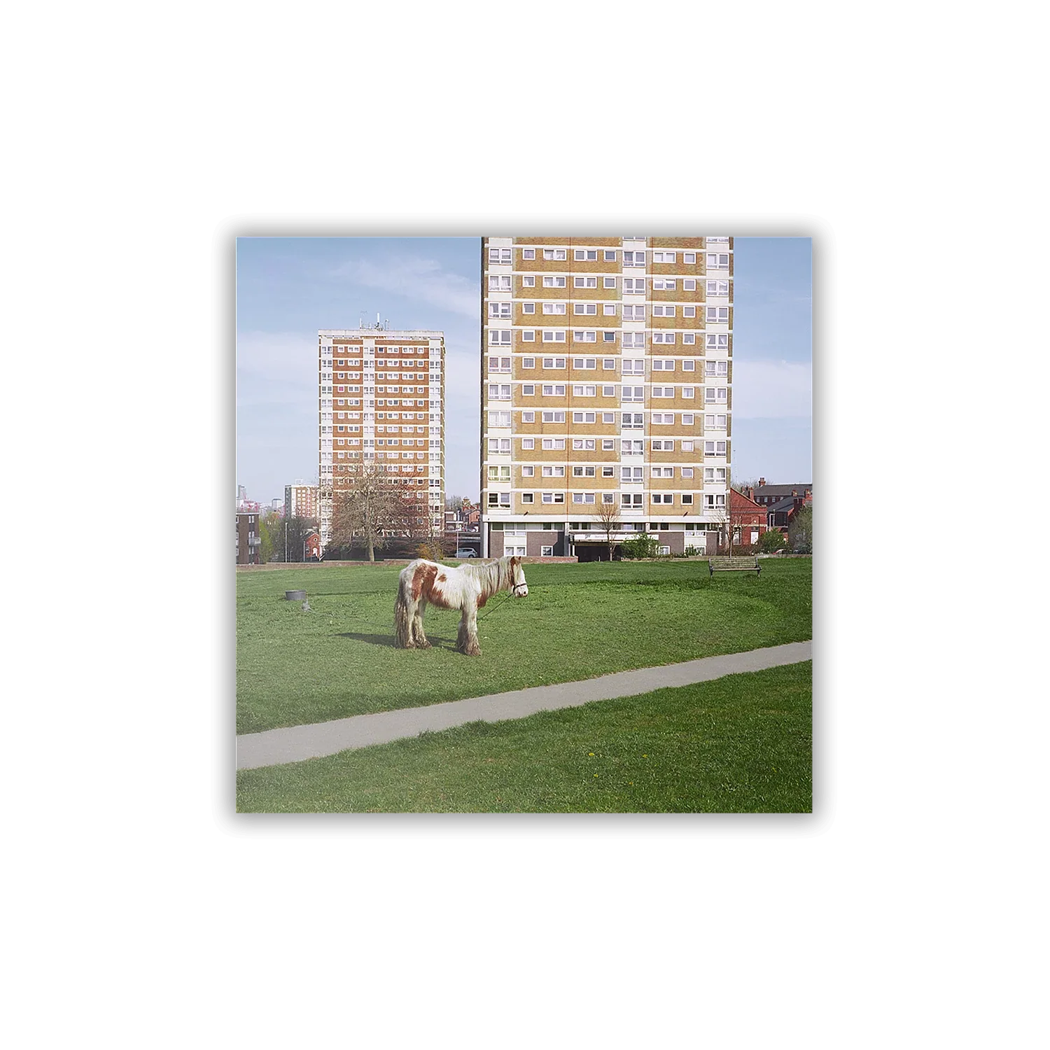 It Goes On (CD) - Image 4