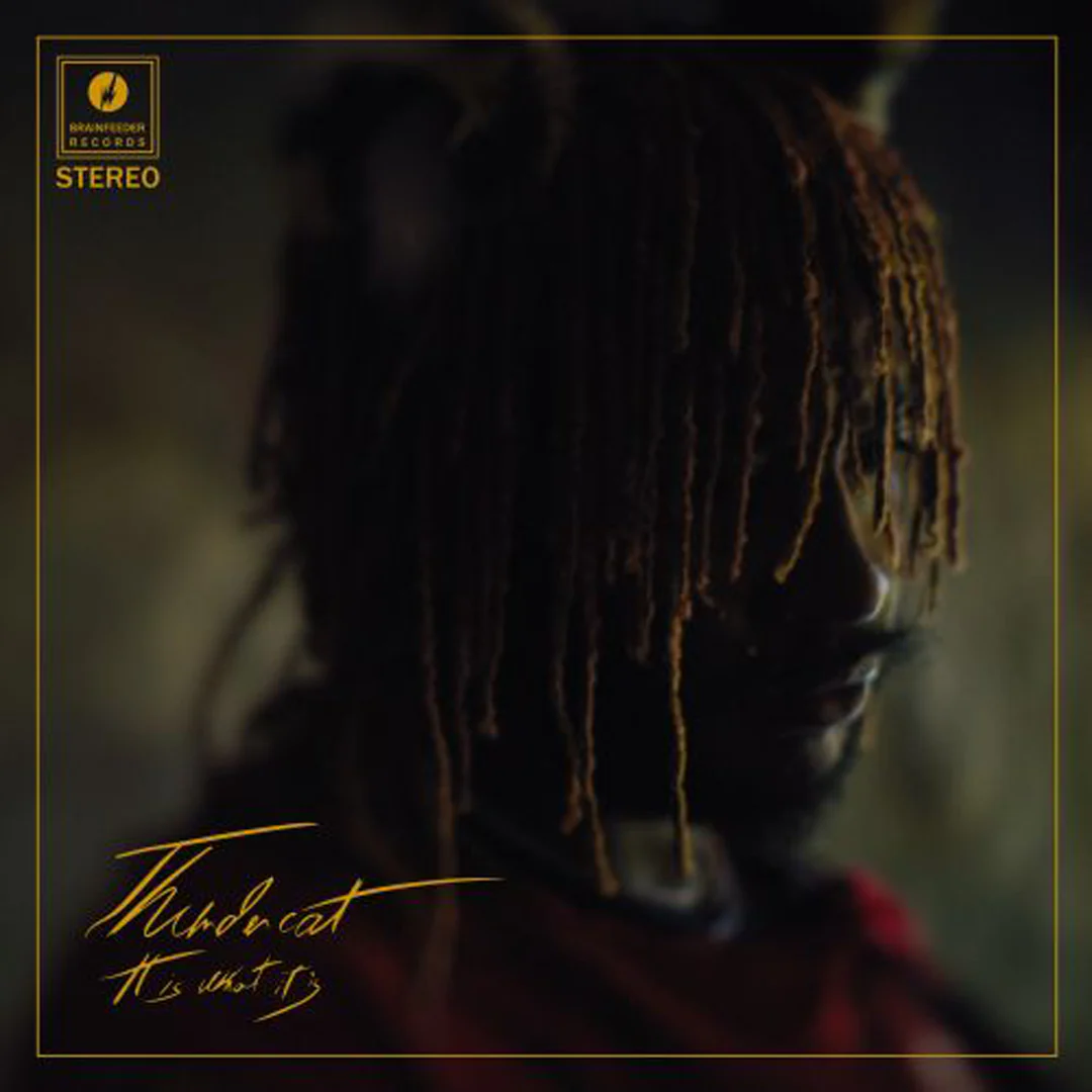 It Is What It Is (Red LP) - Image 2