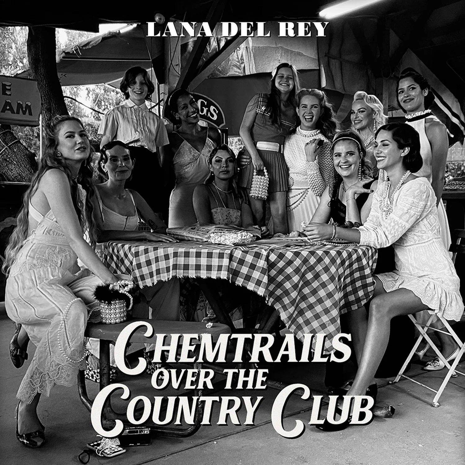 Chemtrails Over the Country Club (LP) - Image 2