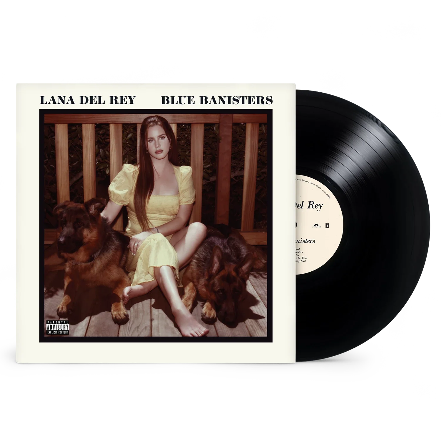 Blue Banisters (2LP)