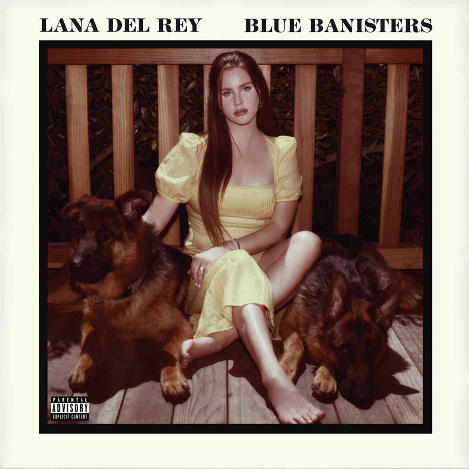 Blue Banisters (2LP) - Image 2