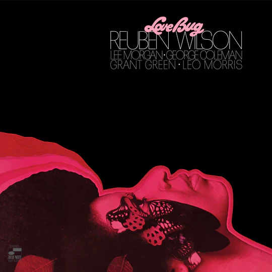 Love Bug (LP) - Image 2