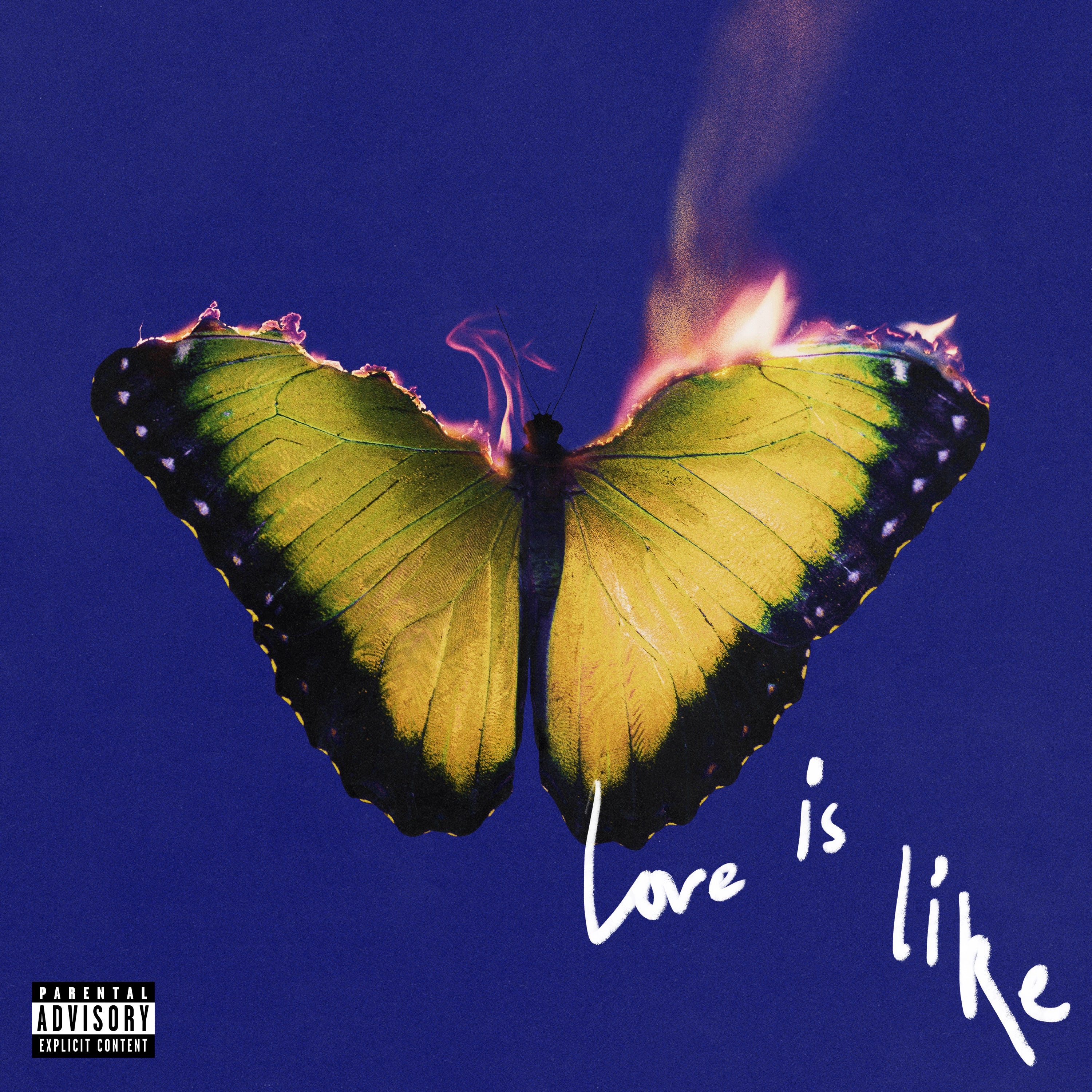Love Is Like (CD) - Image 2