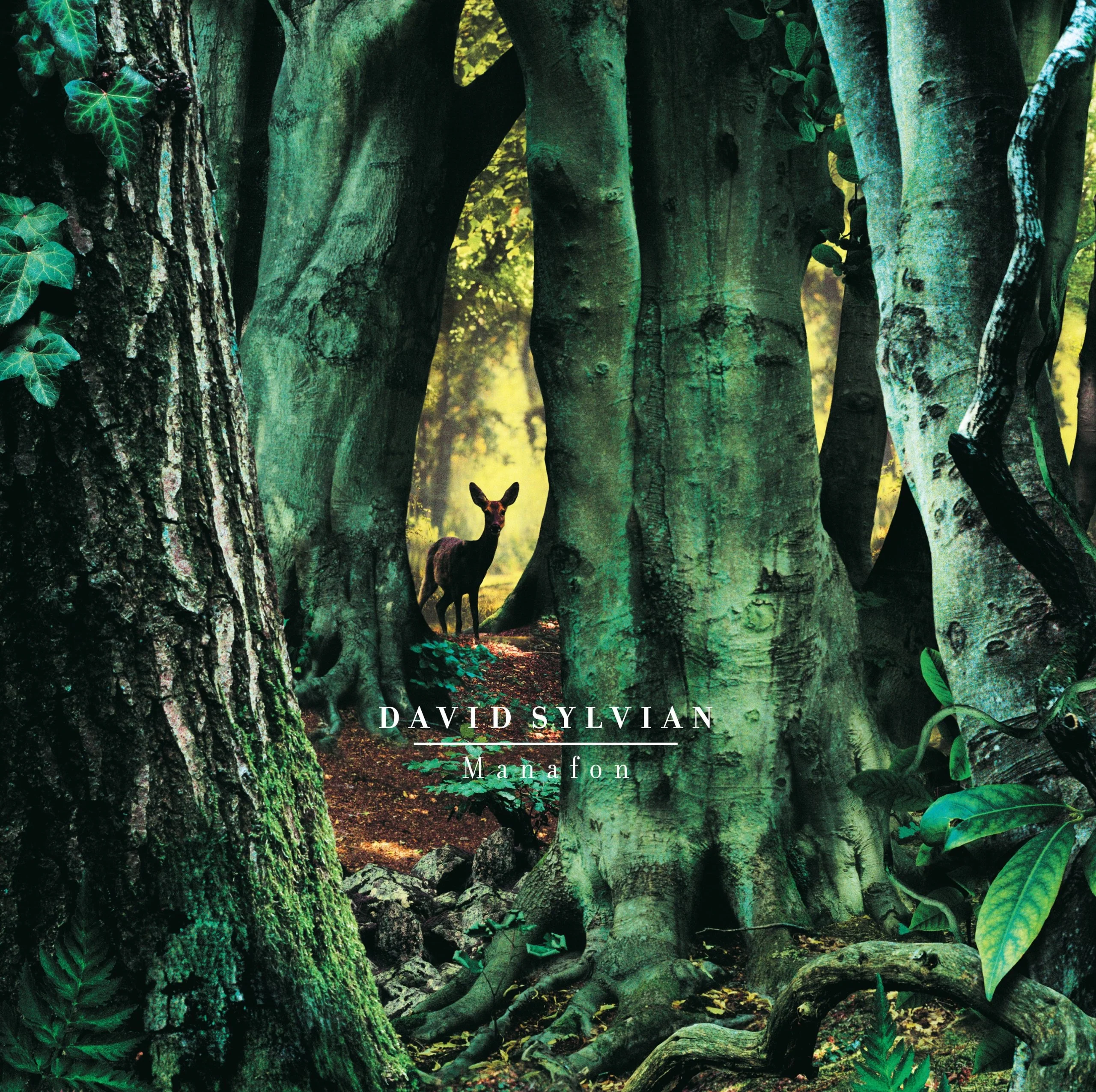 Manafon (2LP) - Image 2
