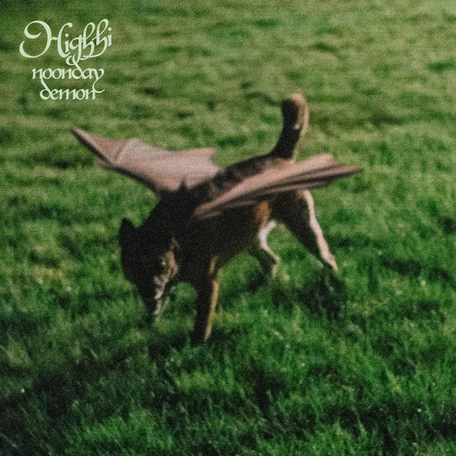 Noonday Demon (LP) - Image 2