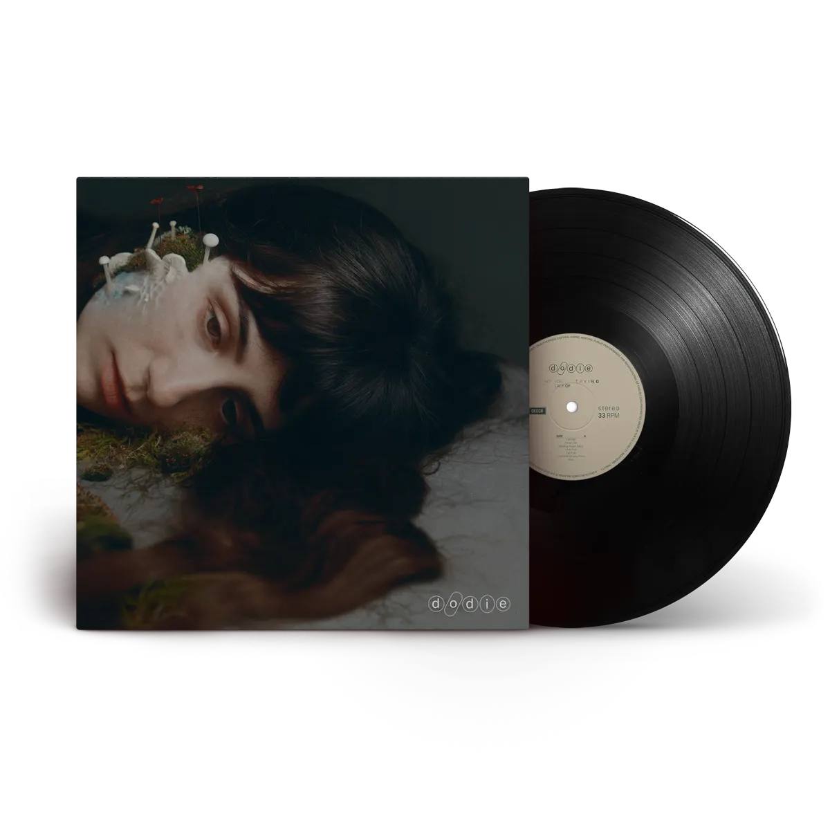 Not For Lack of Trying (Black Vinyl)