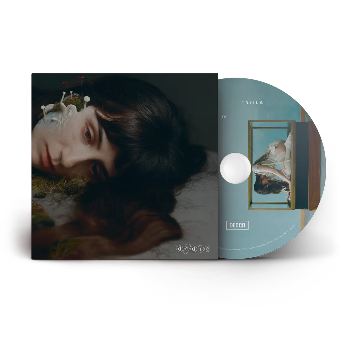 Not For Lack of Trying (CD)