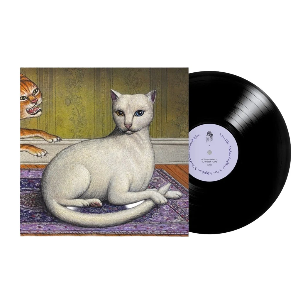 Nothing's About to Happen to Me (LP)