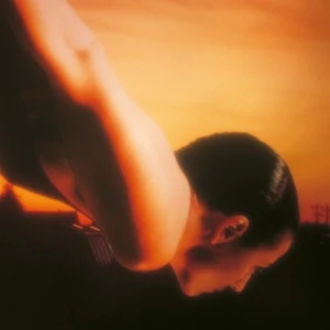 On The Sunday Of Life (2LP) - Image 2