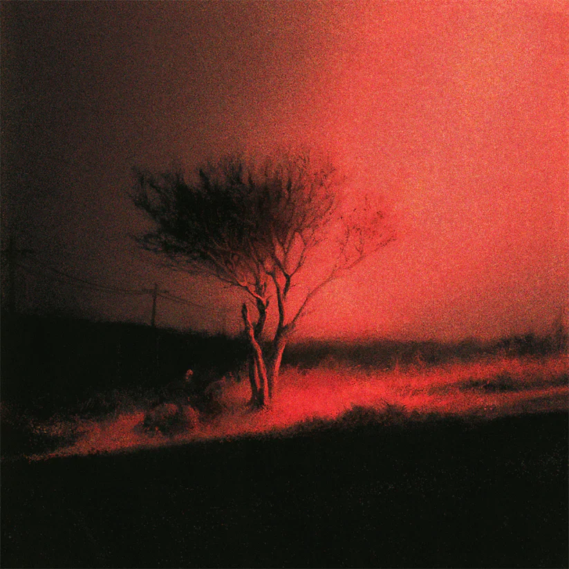 Piss In The Wind (CD)