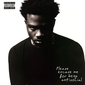 Please Excuse Me For Being Antisocial (2LP)