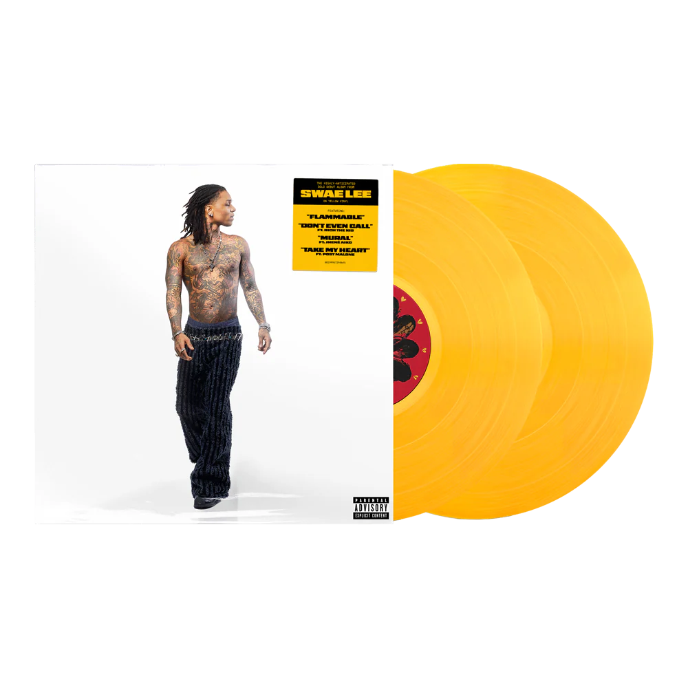 Same Difference Standard 2LP Vinyl