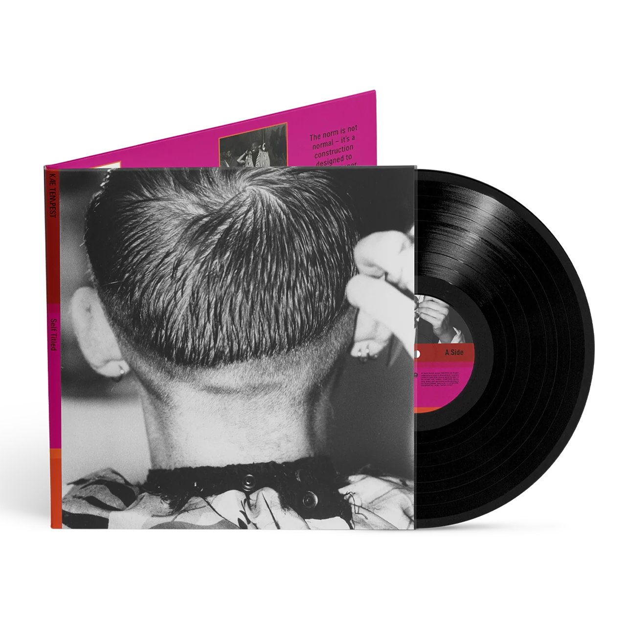 Self Titled: Recycled Black LP