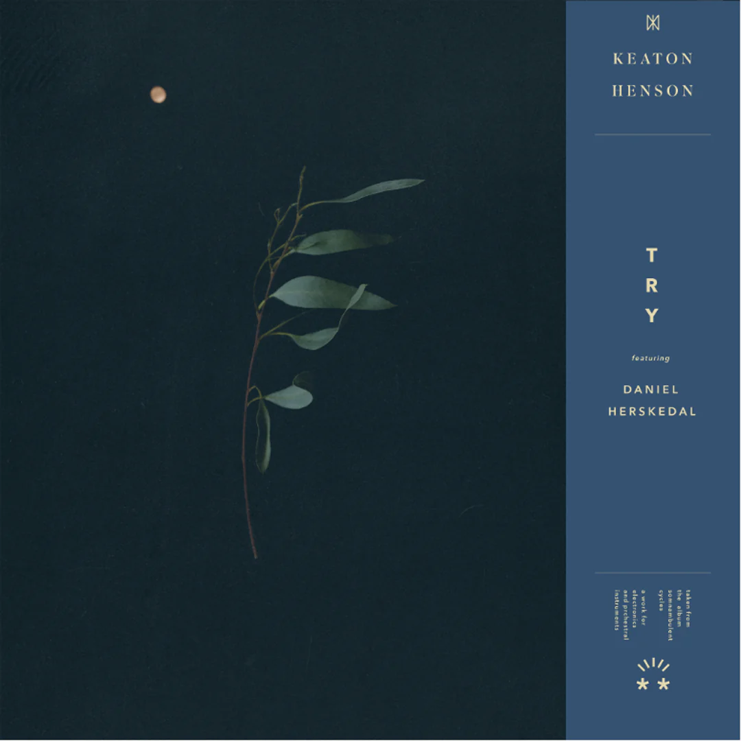 Somnambulant Cycles (LP) - Image 2
