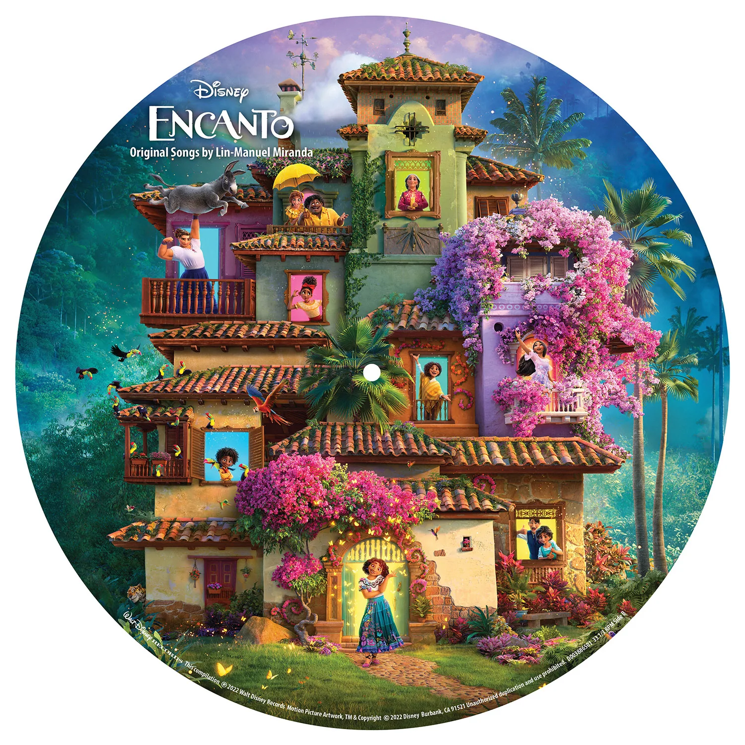 Encanto  (Picture Disc LP) - Image 4