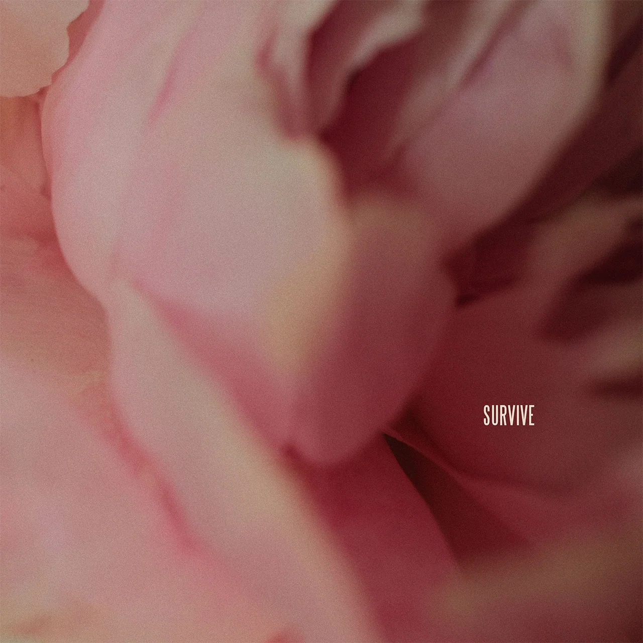 Survive (Original CD) - Image 2