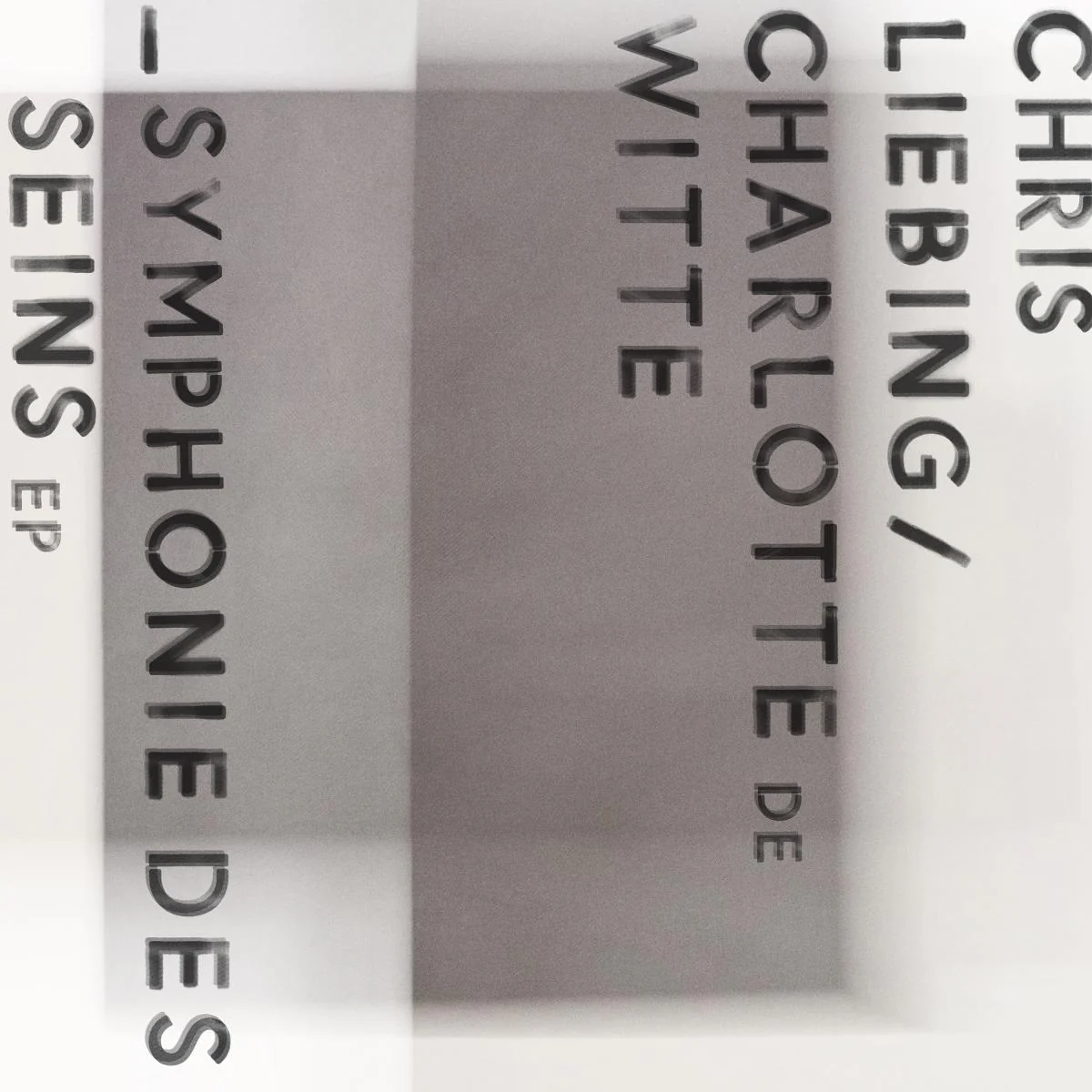Symphonie des Seins (12inch Single)