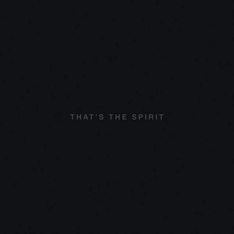 That's The Spirit (CD)