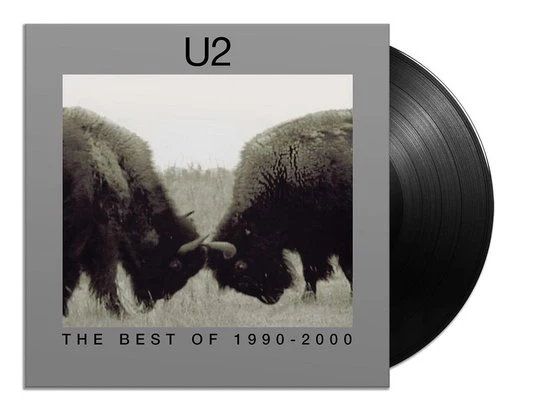 The Best Of 1990-2000 (2LP)